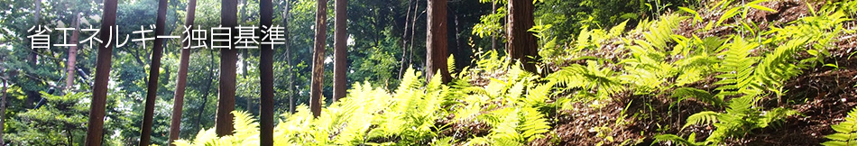 省エネルギー独自基準